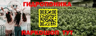 каннабис Волжский