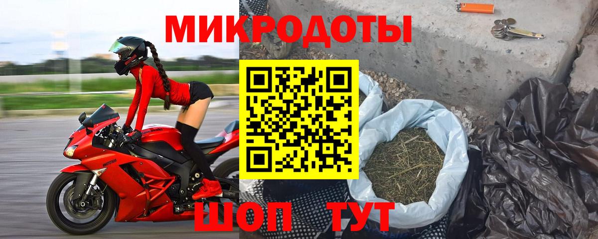 Галлюциногенные грибы мухоморы Советская Гавань
