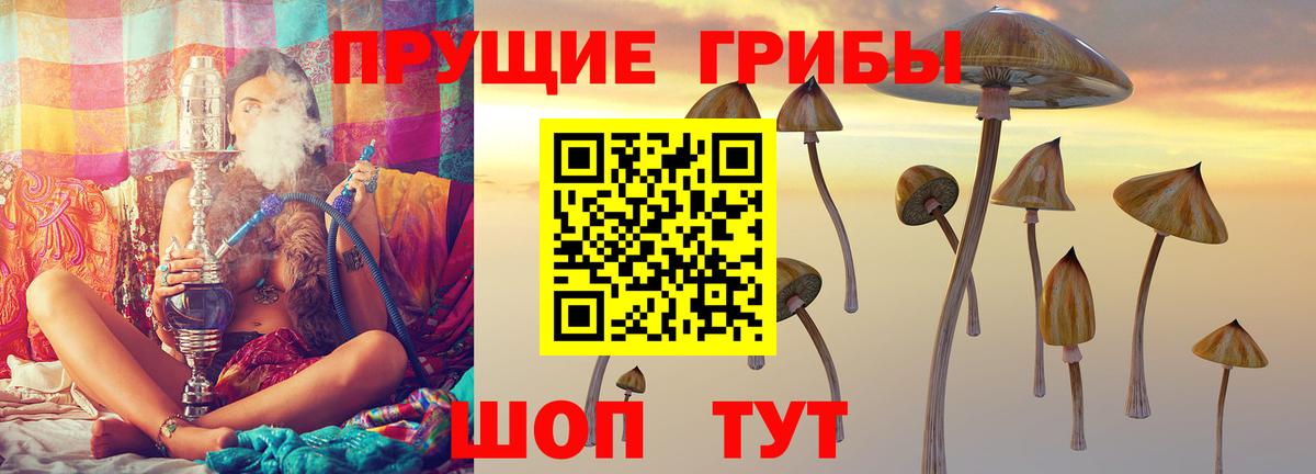 Советская Гавань  Псилоцибиновые грибы Cubensis  Псилоцибиновые грибы MAGIC MUSHROOMS  Вход с VPN 